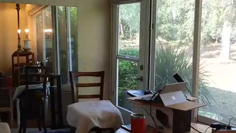 eliberator online show from 12-21-25, 04:58