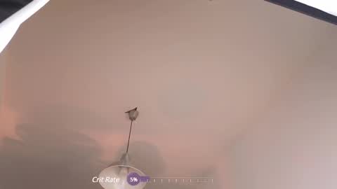 Snapshot of elliefrost chatting on 02-12-25, 12:37 elliefrost online show from 02-12-25, 12:37