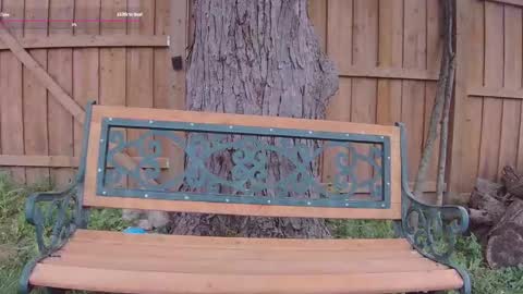 Snapshot of ells_palace chatting on 09-13-25, 05:13 Ella Bella Bo Bella online show from 09-13-25, 05:13