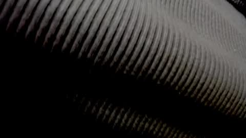 Elly online show from 04-27-26, 11:30