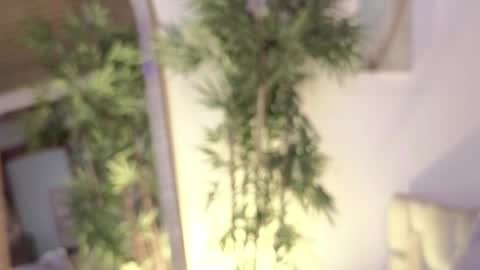 Eloise  . online show from 07-17-26, 10:03