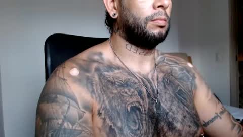 Snapshot of elosocazador chatting on 12-11-24, 09:23 elosocazador online show from 12-11-24, 09:23