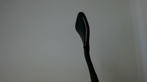 Snapshot of elosocazador chatting on 10-10-25, 07:13 elosocazador online show from 10-10-25, 07:13