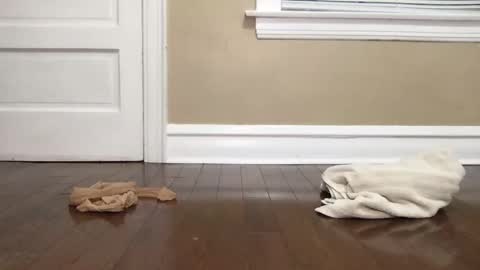 Snapshot of eltruerey chatting on 10-15-25, 04:56 Bi Bro online show from 10-15-25, 04:56