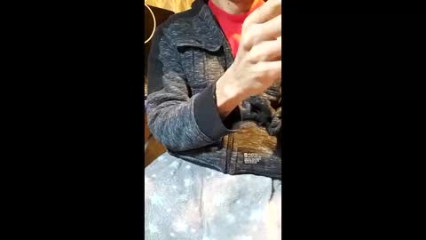 elvergg1 online show from 01-19-26, 07:12