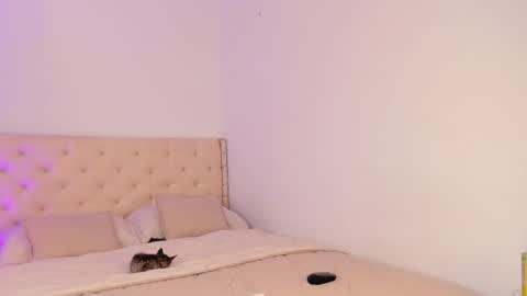 Michelle online show from 03-20-26, 07:30