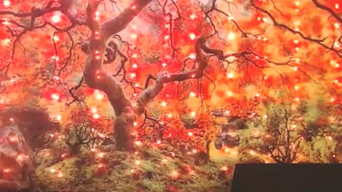 Ember Starleena online show from 09-30-25, 01:49