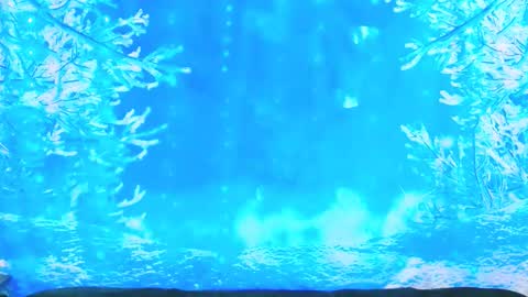 Ember Starleena online show from 01-19-26, 03:49