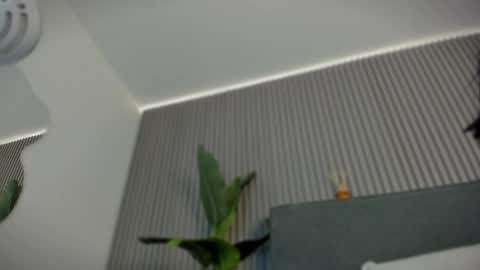 emelie_89 online show from 06-06-26, 11:48