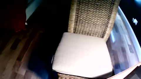 emi4850 online show from 12-08-24, 08:15