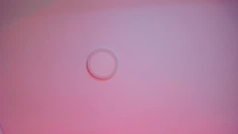   online show from 01-24-25, 03:43