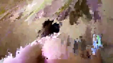 Emily online show from 09-26-25, 08:13