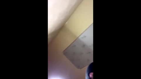 Emily online show from 10-14-25, 08:20