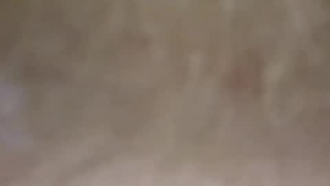 emilmirror online show from 02-11-25, 07:54