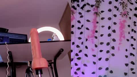 Emily online show from 01-26-25, 10:24