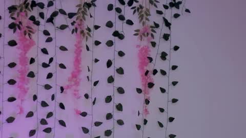 Emily online show from 01-30-25, 02:38