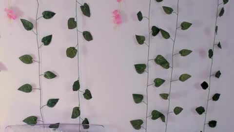 Emily online show from 02-02-25, 03:10