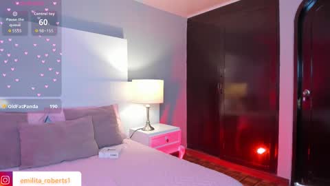 Snapshot of emily_roberts1 chatting on 11-08-25, 05:01 Emily online show from 11-08-25, 05:01