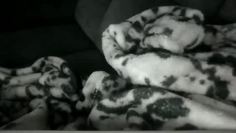 emilywarren296 online show from 10-21-25, 01:12