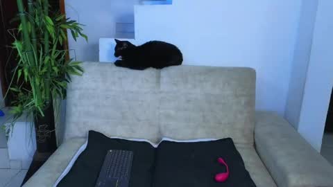 Emma Blue  modelo independiente online show from 04-23-26, 03:08