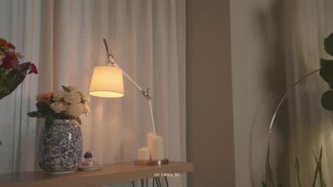 Snapshot of emma_lu1 chatting on 10-09-25, 02:48 emma_lu1 online show from 10-09-25, 02:48