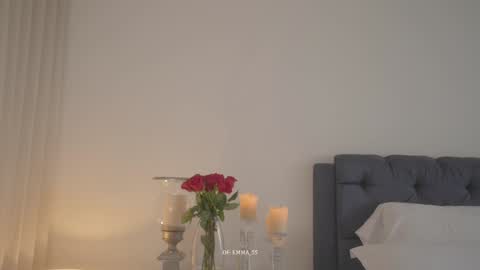 Snapshot of emma_lu1 chatting on 11-01-25, 03:58 emma_lu1 online show from 11-01-25, 03:58