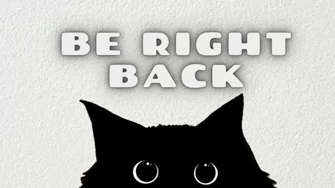   online show from 04-28-26, 11:26