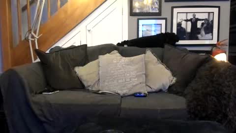 englishcouple81 online show from 03-13-26, 11:33