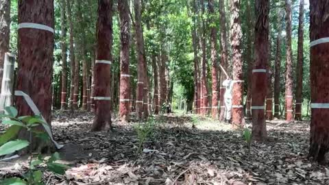 Snapshot of enjoythetrip chatting on 11-26-25, 01:45 Luke online show from 11-26-25, 01:45