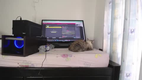 Eolicasextwo online show from 01-10-25, 09:42