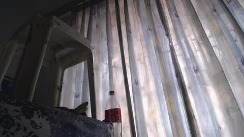 Eolicasextwo online show from 02-18-25, 05:21