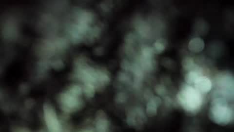 E R I K A  - L  Y R I C S online show from 07-27-26, 08:21