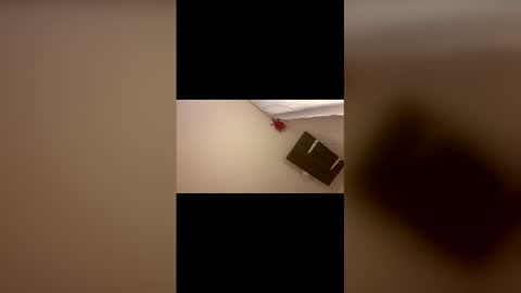 Gabs online show from 04-23-26, 01:24