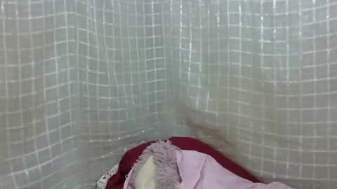 erotic_ebony56 online show from 04-16-26, 08:04