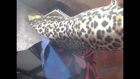 Eskela911 online show from 03-23-26, 05:00