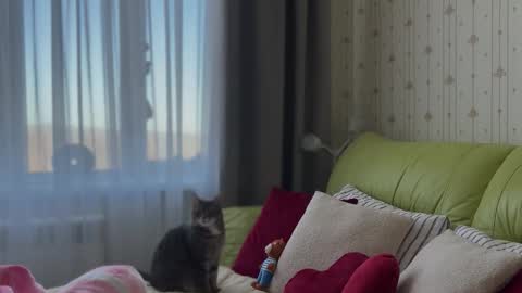 Estella online show from 02-03-26, 06:22