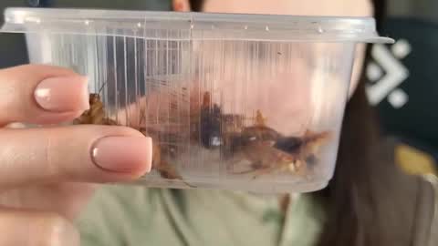 kelt0901 - my channel in telegra online show from 02-21-26, 02:07