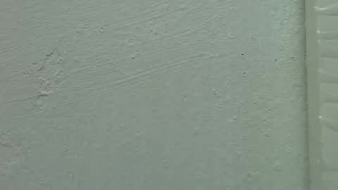 Estrella online show from 02-15-25, 11:50