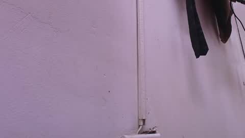 Estrella online show from 02-22-25, 11:57