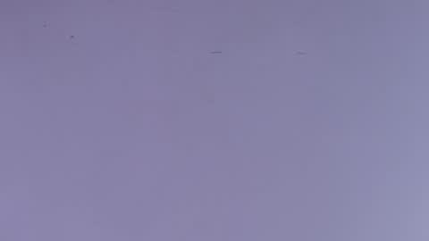 Estrella online show from 10-01-25, 12:00