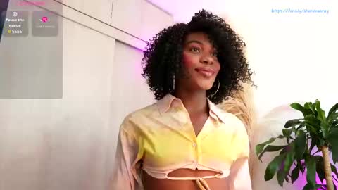 euphoricbunny online show from 09-15-25, 09:37