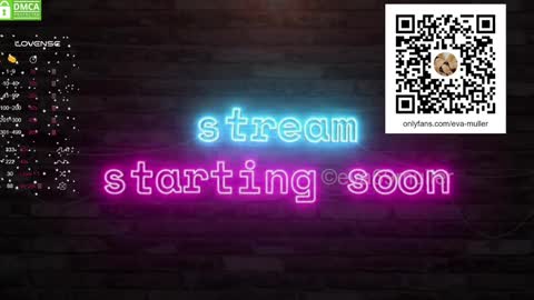 Snapshot of eva69muller chatting on 01-11-25, 09:15 Eva  next show  8pm CEST AMST online show from 01-11-25, 09:15