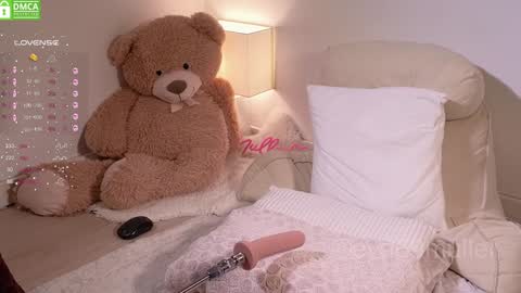 Snapshot of eva69muller chatting on 01-11-25, 12:18 Eva  next show  8pm CEST AMST online show from 01-11-25, 12:18