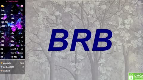 Eva online show from 02-01-25, 04:11