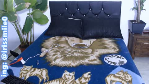 Iris Smile  independent model online show from 12-20-24, 03:36