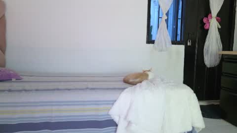 Eva Sin online show from 06-12-26, 11:25