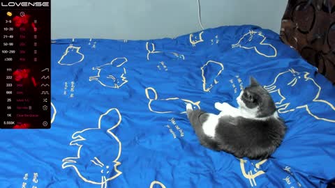 Eva online show from 01-17-25, 01:03