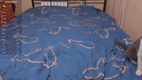 Eva online show from 01-13-26, 03:06