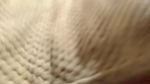 Snapshot of evahootxx chatting on 12-14-24, 07:29 EVA  online show from 12-14-24, 07:29