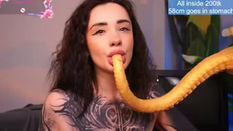 Snapshot of evarabbit chatting on 06-11-26, 02:00 Eva online show from 06-11-26, 02:00